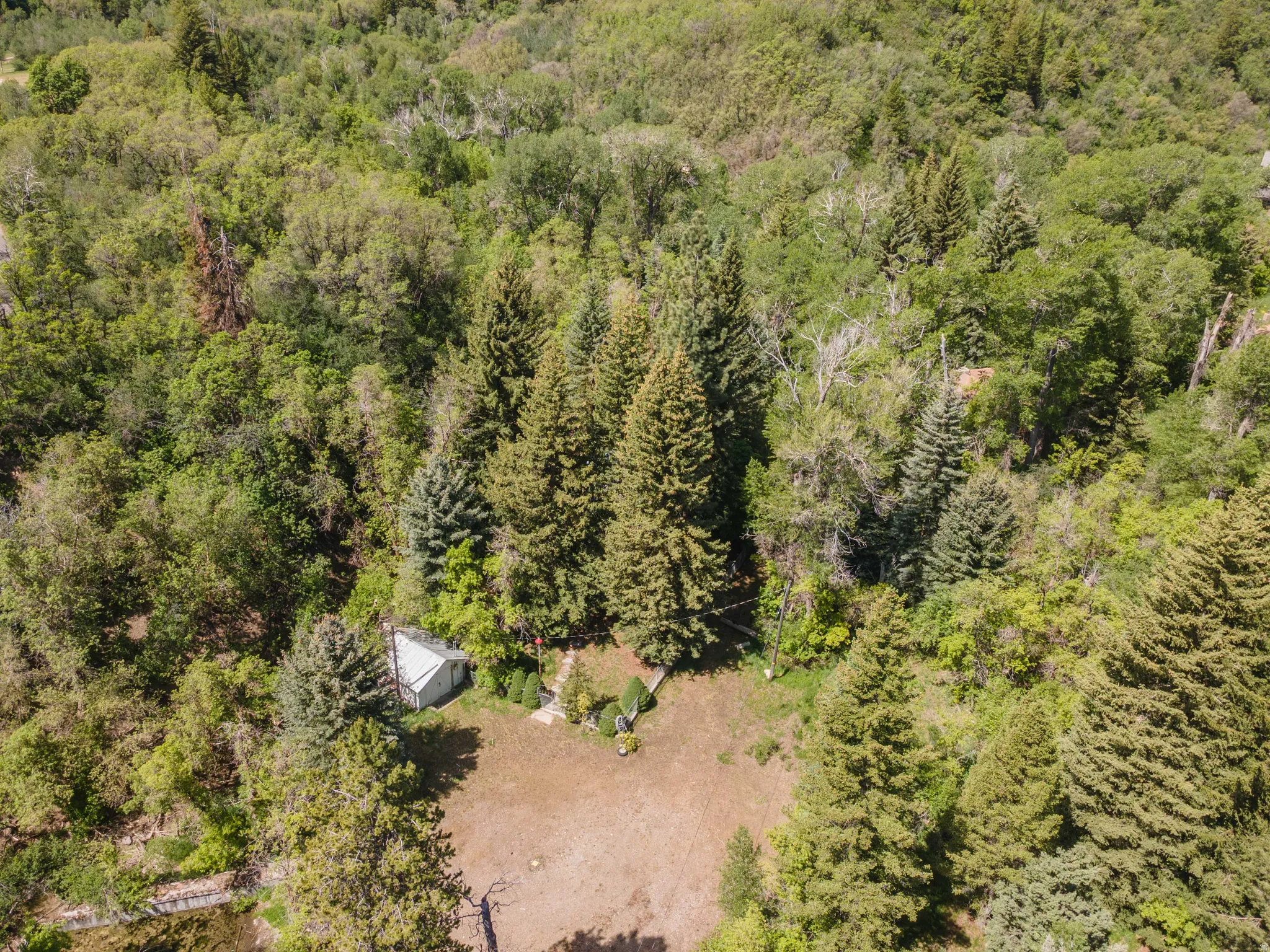Wooded property featuring a small shed and surrounding dense natural foliage