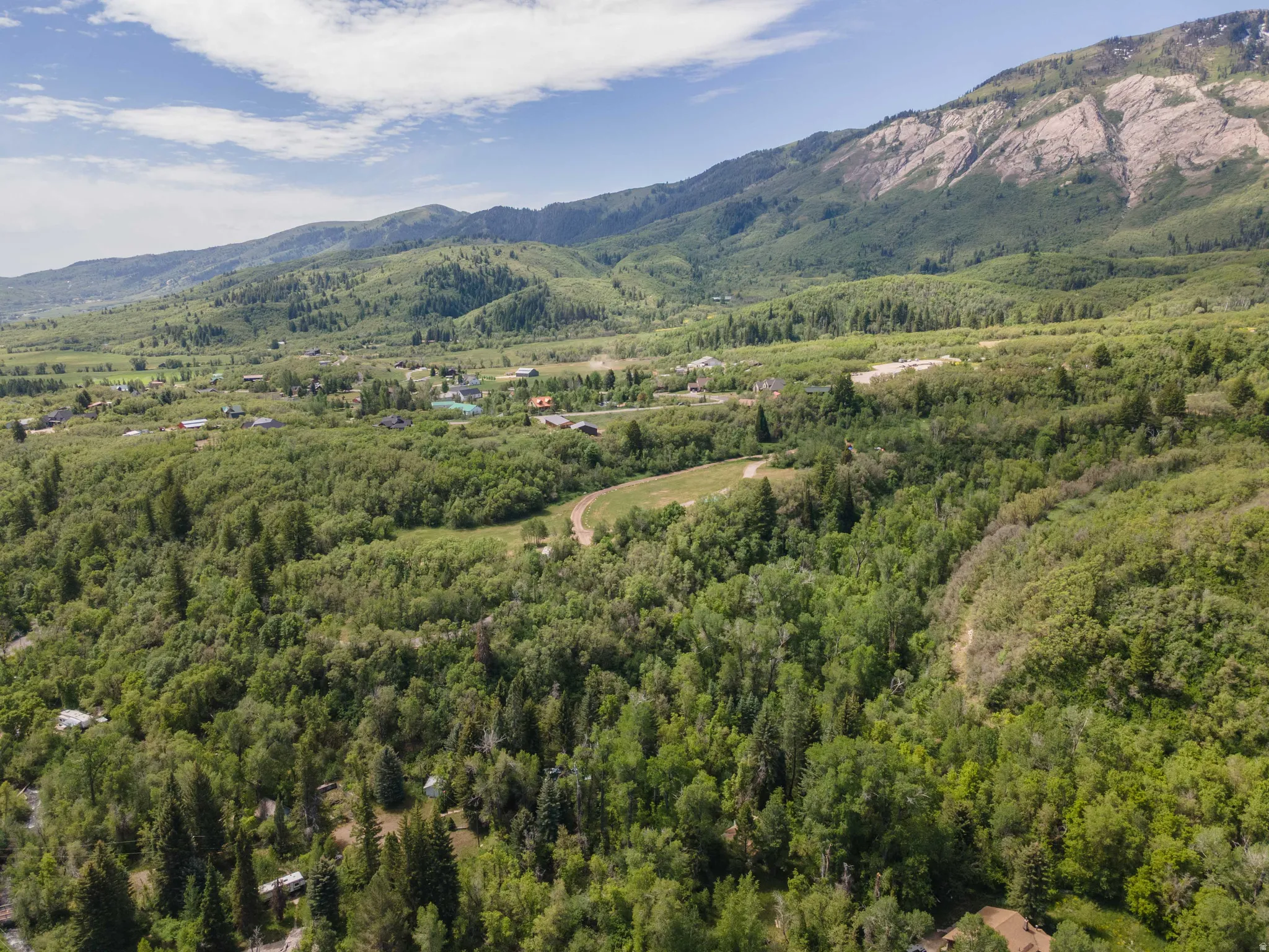 Expansive natural landscape featuring lush green trees and distant mountains