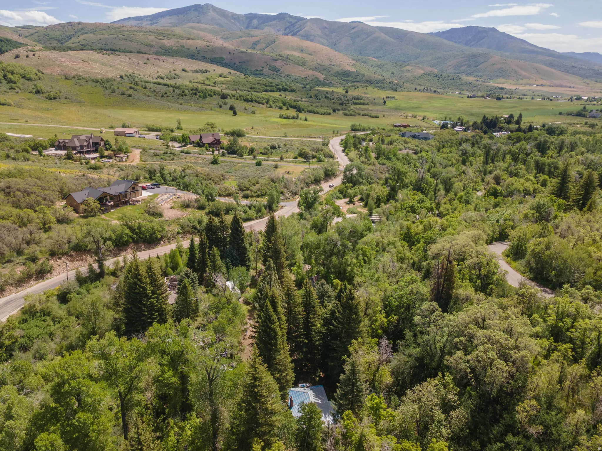 Expansive elevated property with lush, mature trees and mountainous terrain