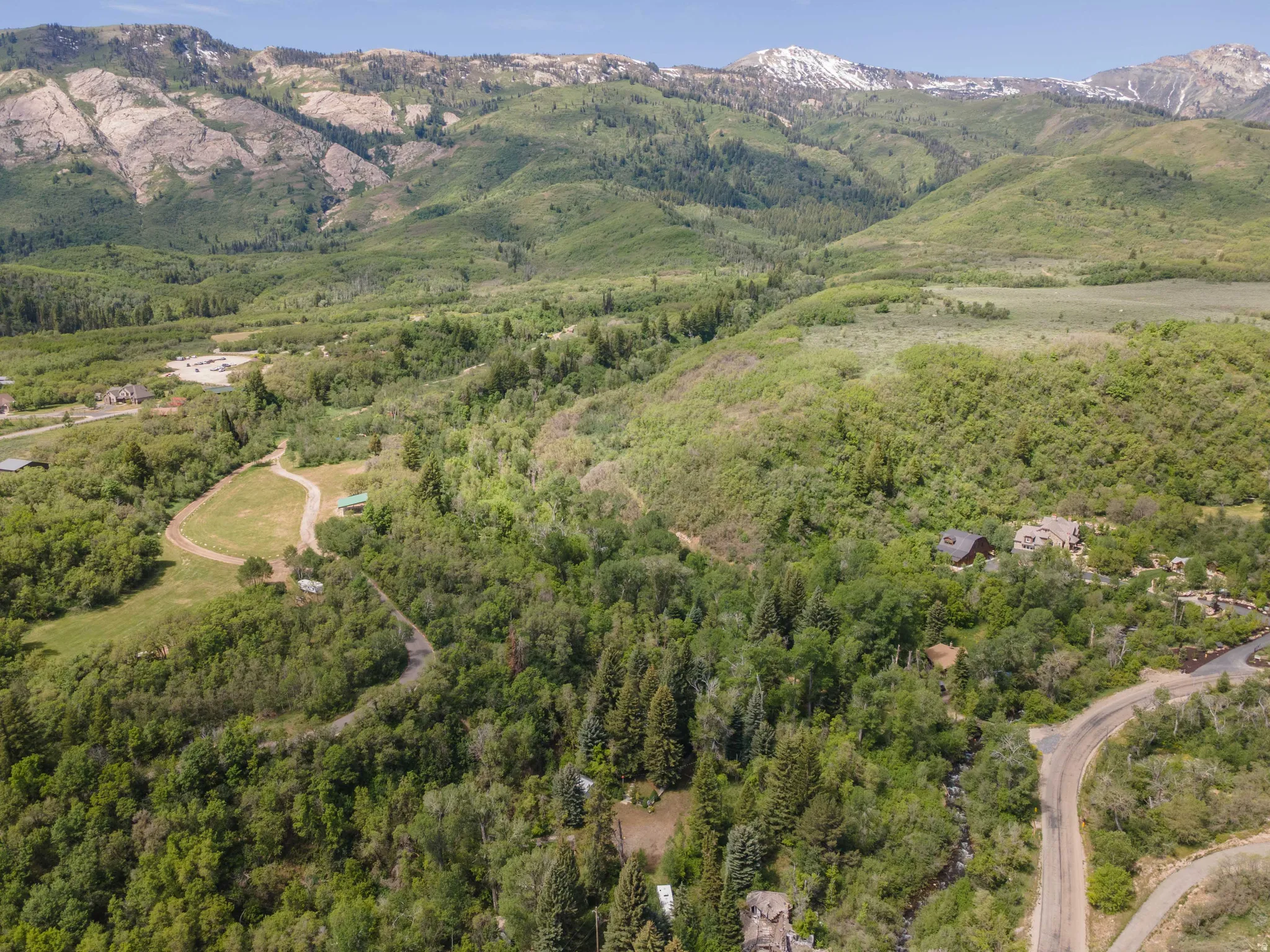 Expansive forested terrain featuring diverse deciduous and coniferous trees