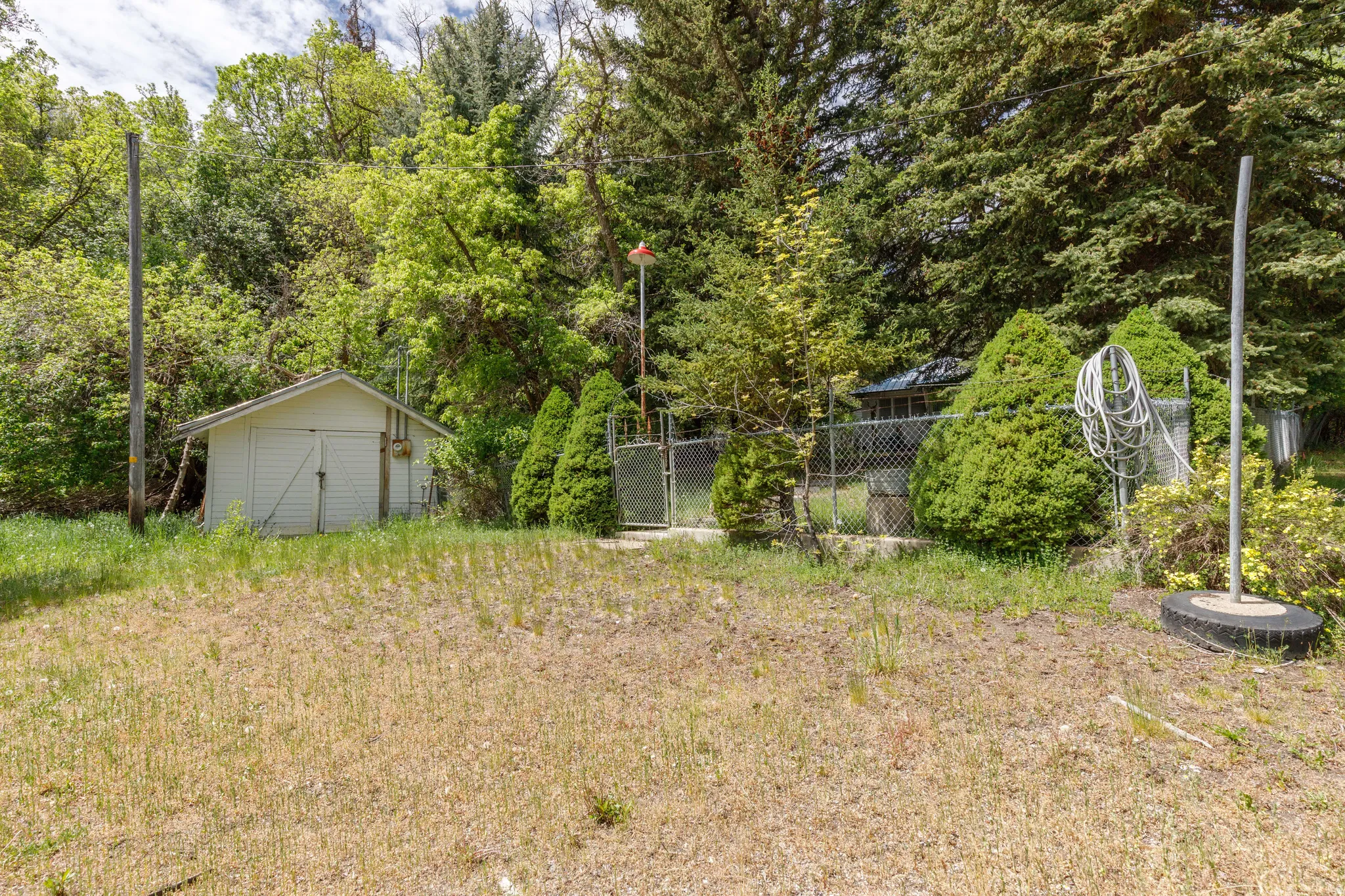 Expansive outdoor area featuring a white accessory building with a double door, surrounded by mature trees and shrubs