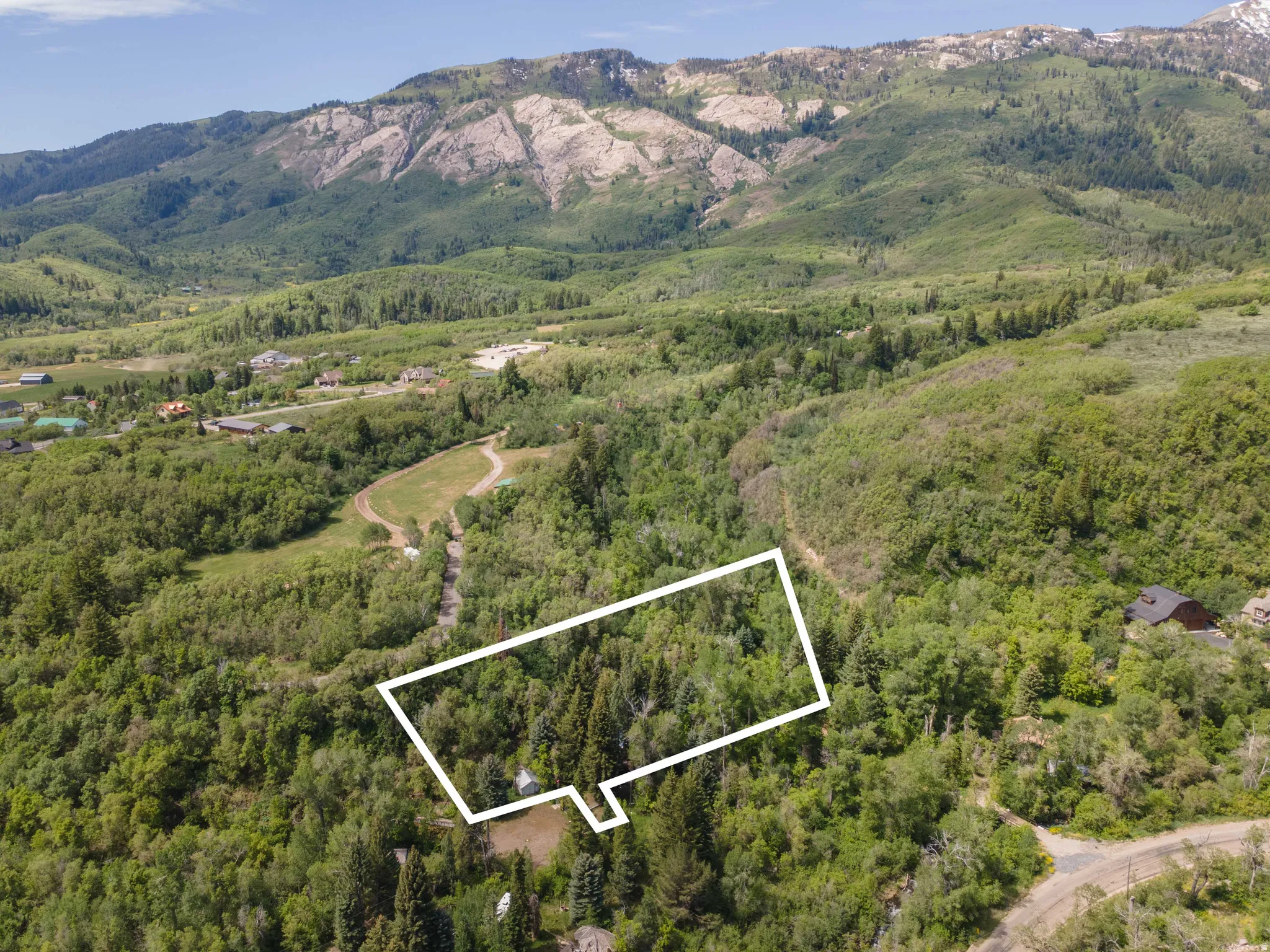 Expansive wooded lot featuring mature trees and a mountain backdrop