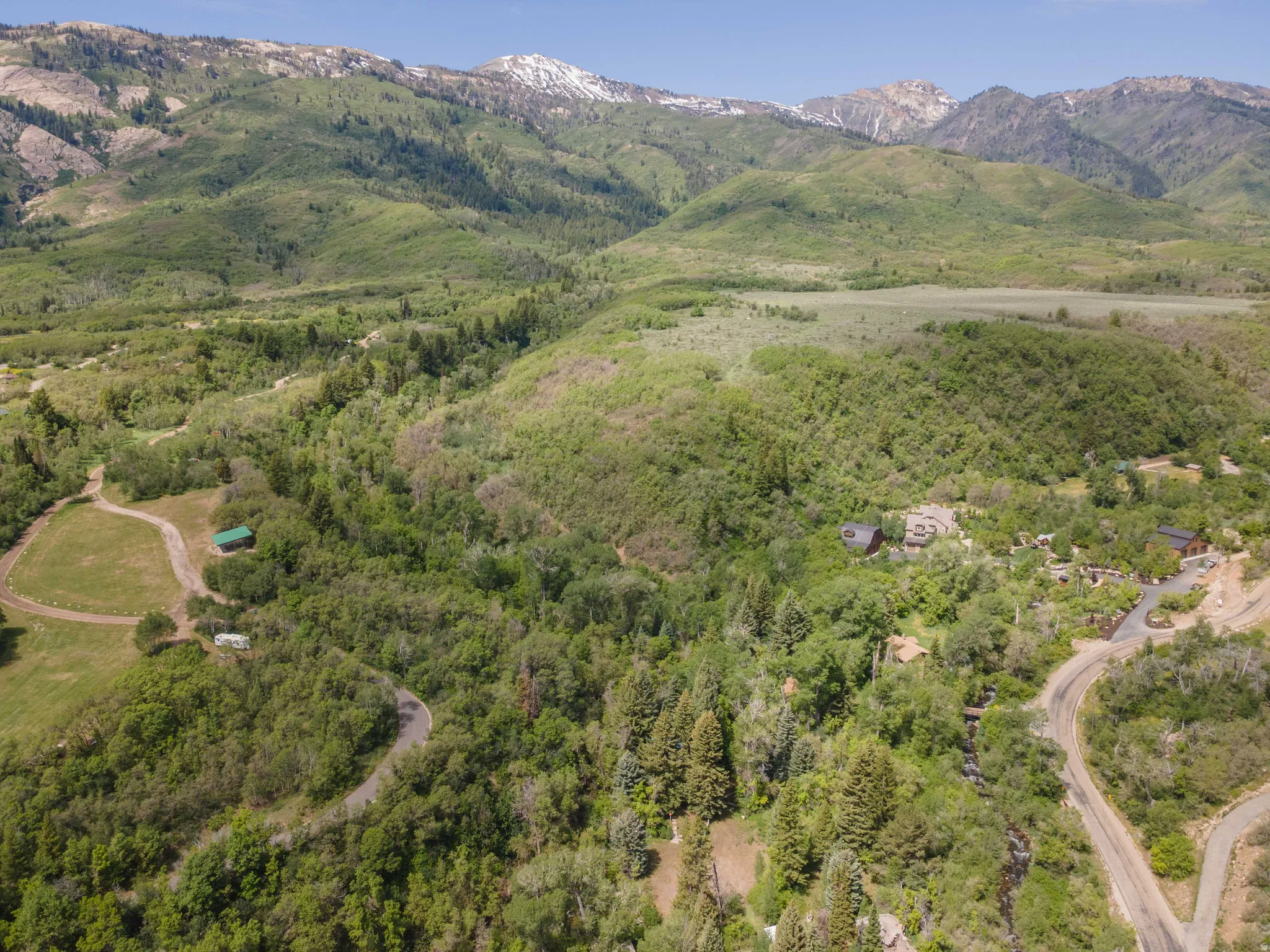 Expansive mountain landscape featuring lush green foliage and distant snow-capped peaks