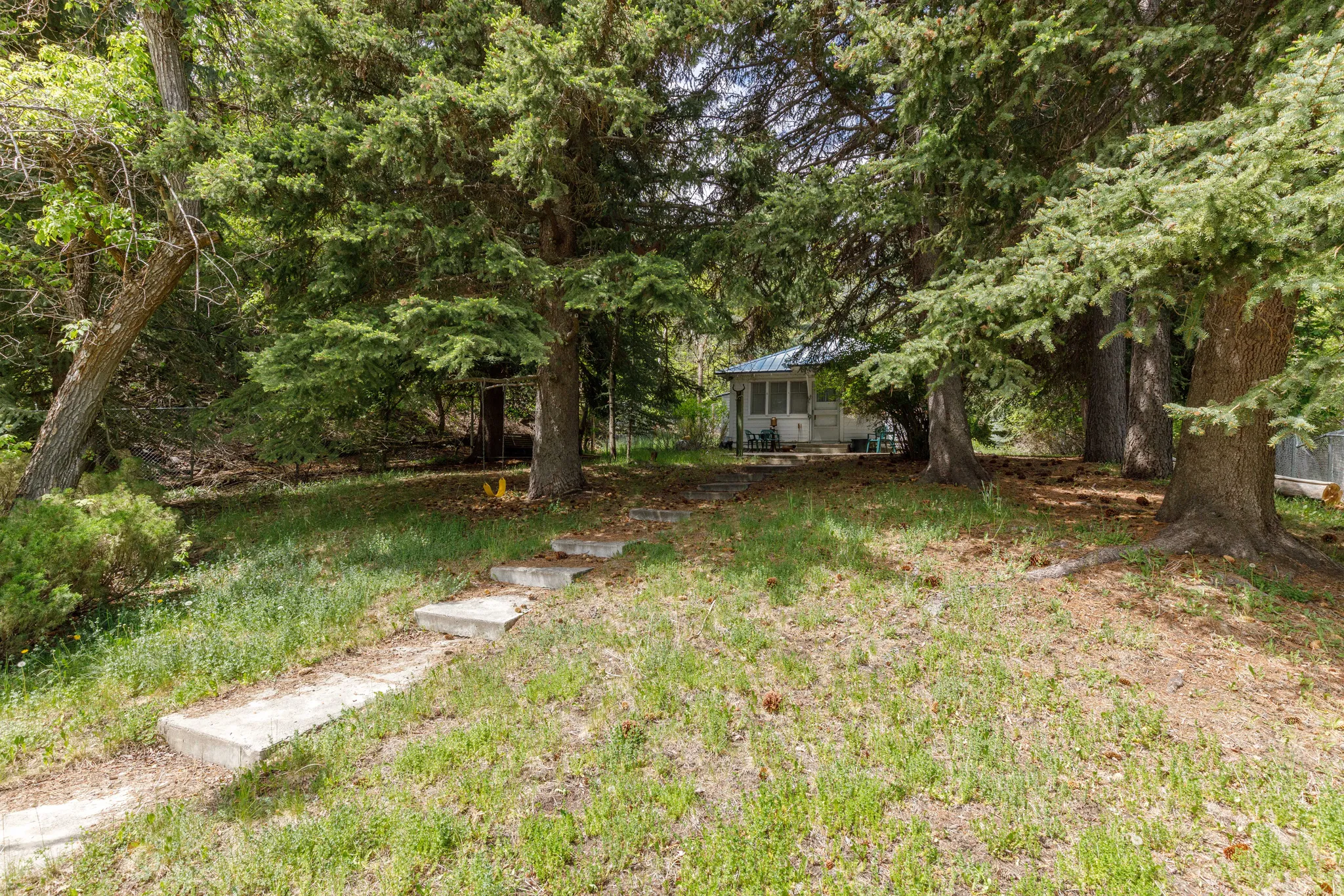 Wooded property featuring mature evergreen trees and a sloped lawn with concrete step path