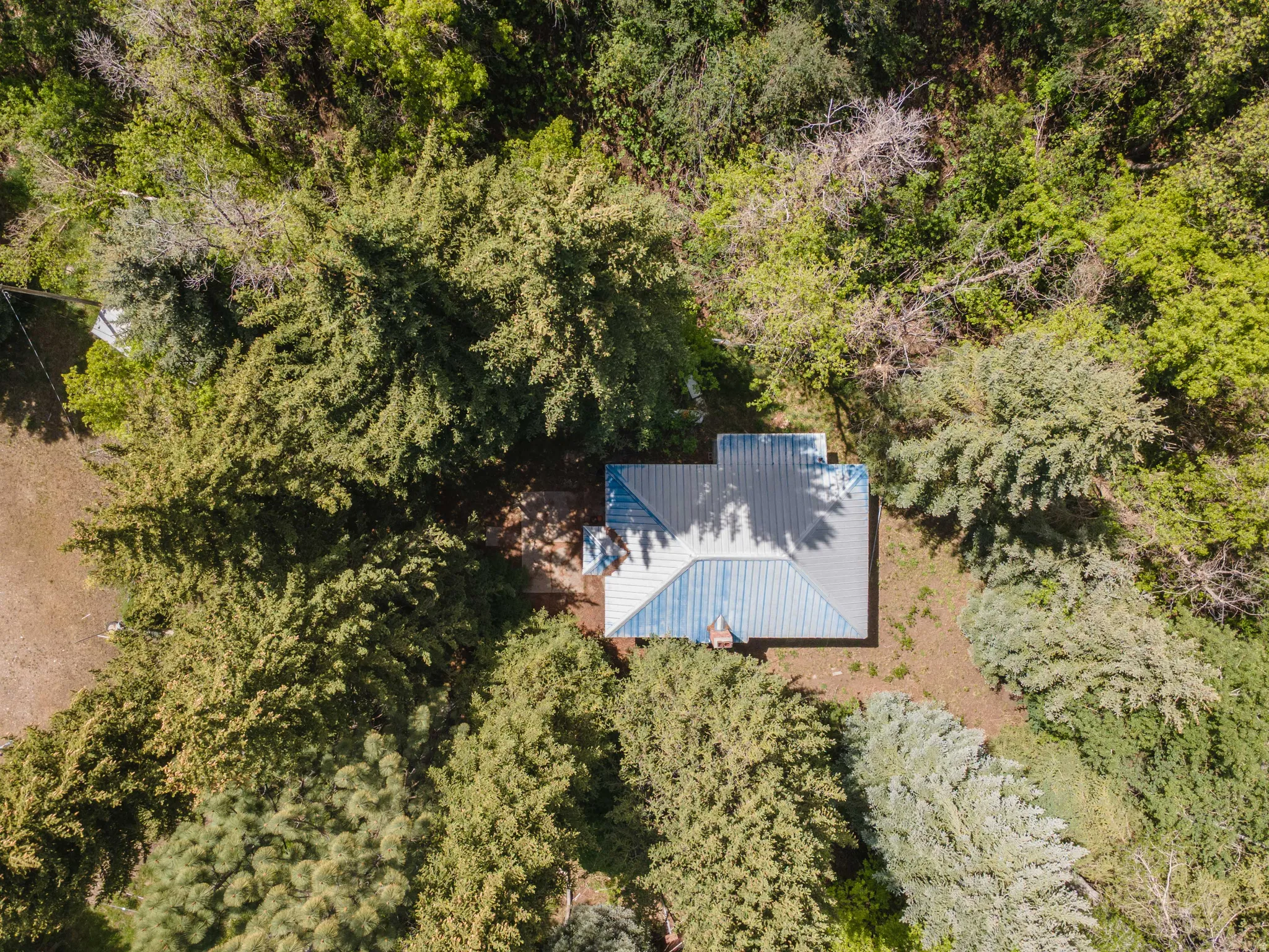 Aerial perspective of a residence featuring a blue metal roof and chimney, surrounded by mature trees and natural landscaping