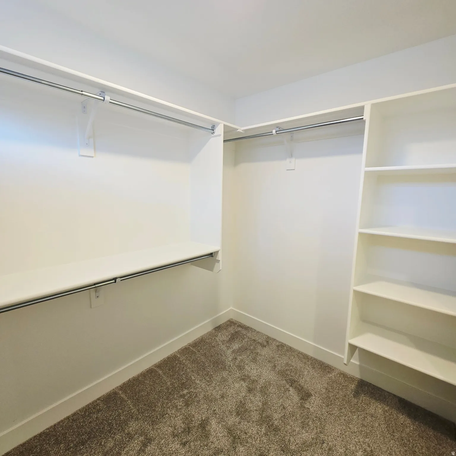 Walk-in closet featuring built-in shelving, multiple hanging rods, white walls, white trim, and a gray carpeted floor
