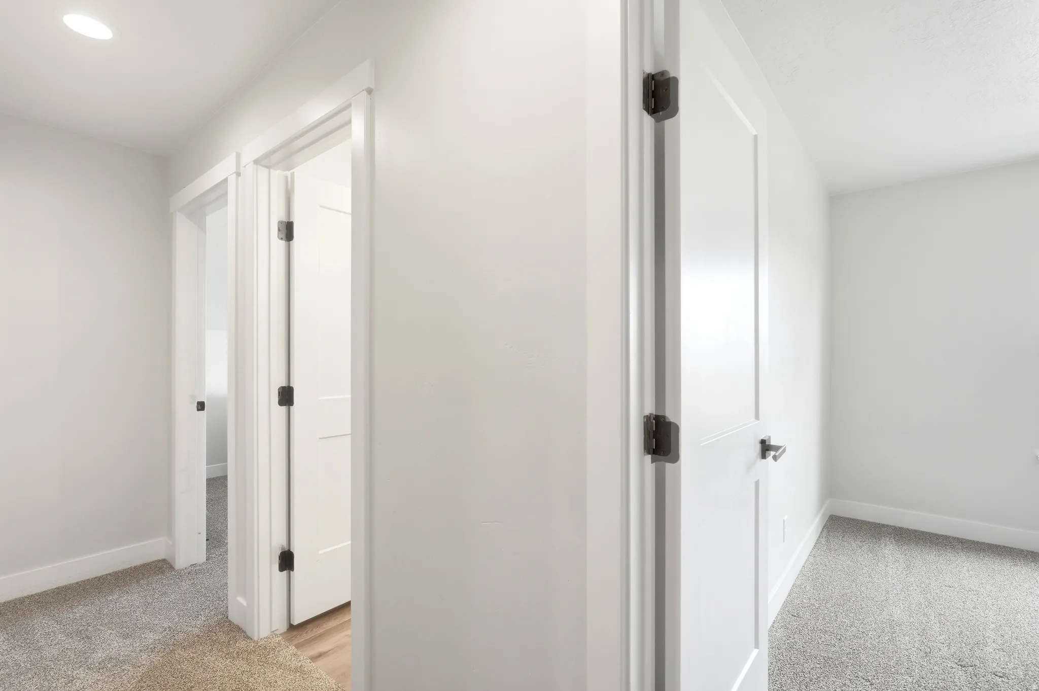 Hallway featuring white paneled doors with dark hardware, recessed lighting, and neutral-toned carpeting