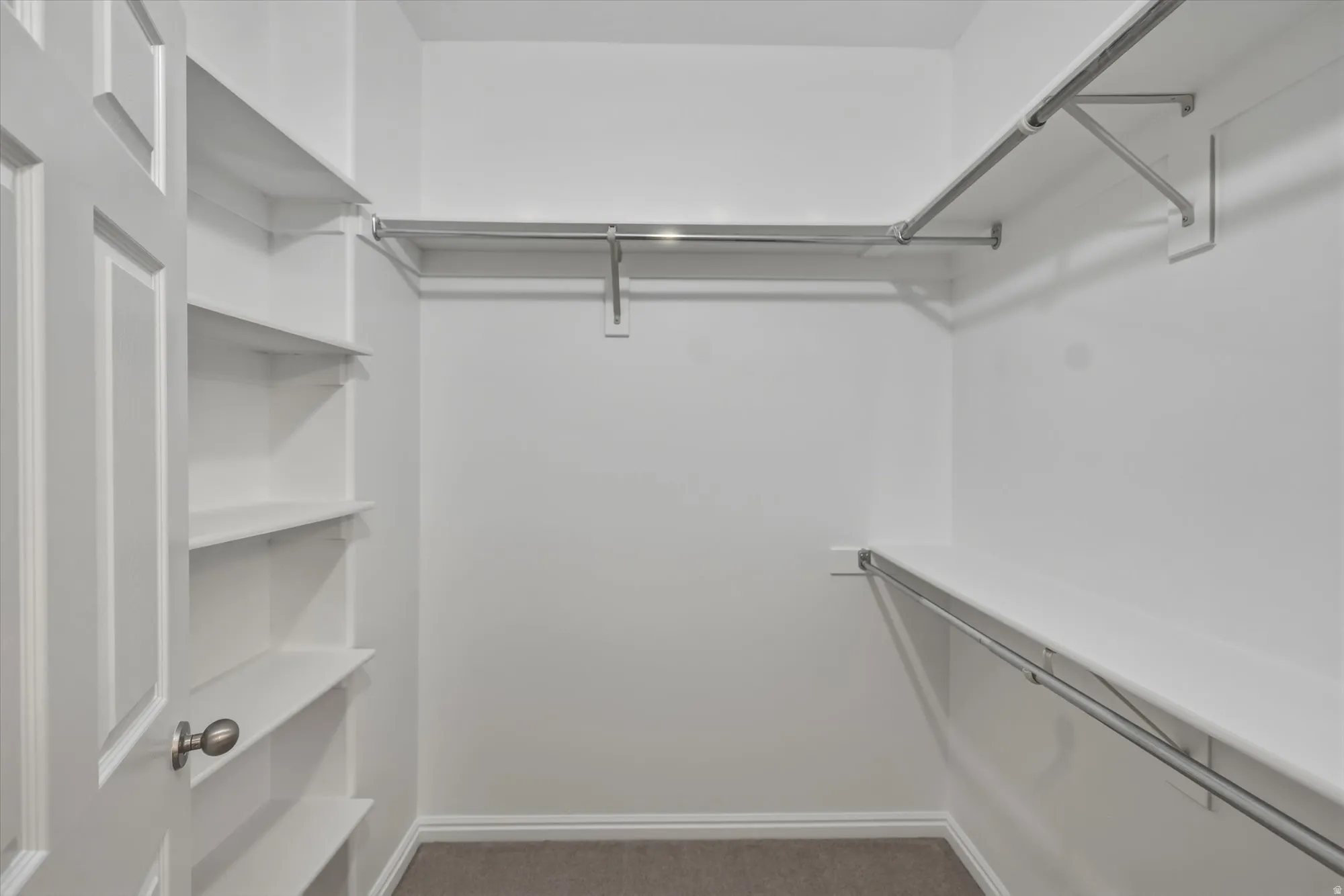 Walk-in closet with built-in shelving, chrome hanging rods, and neutral carpet flooring