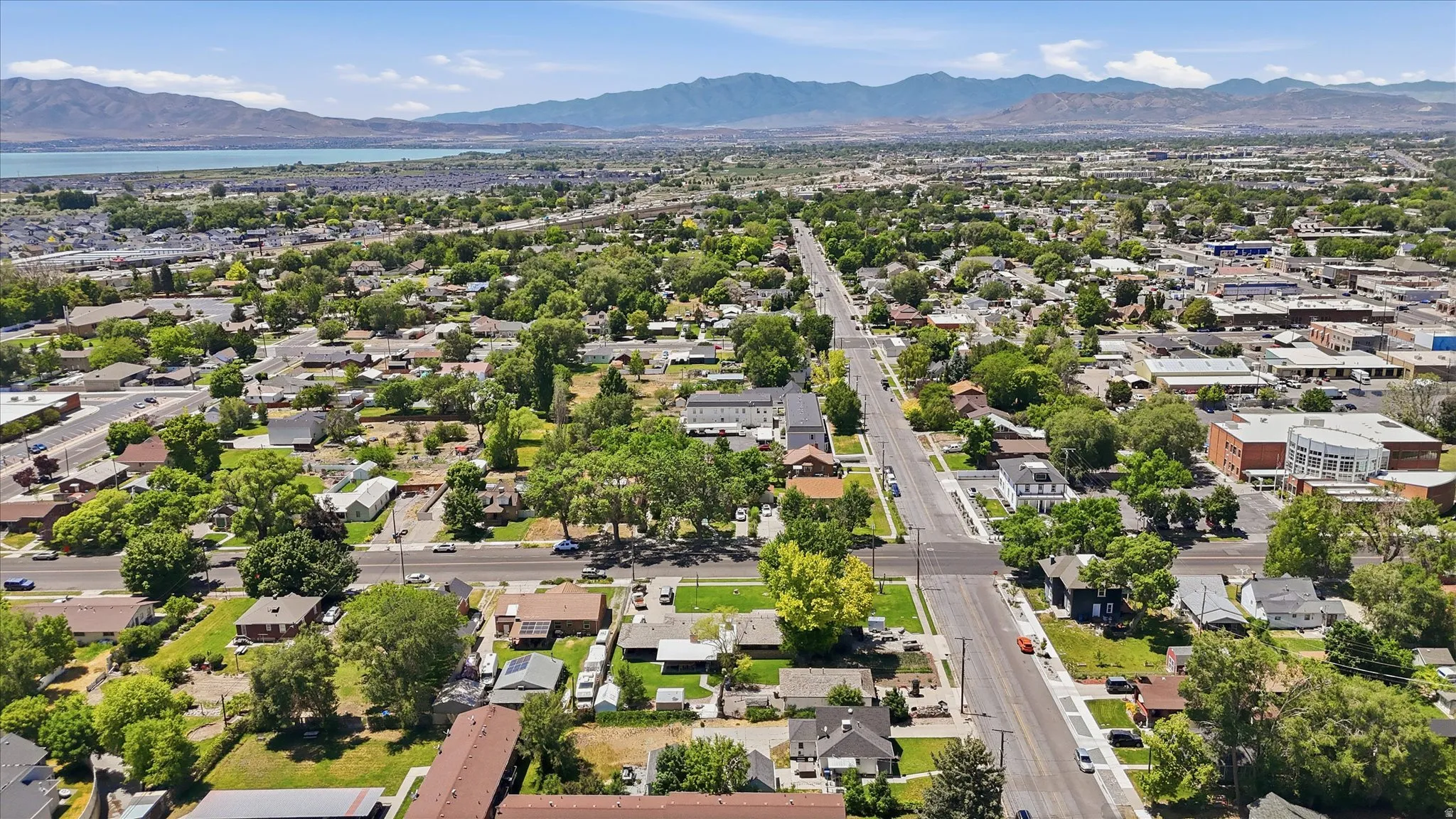 Expansive aerial view of a verdant residential area featuring numerous mature trees and a structured street grid