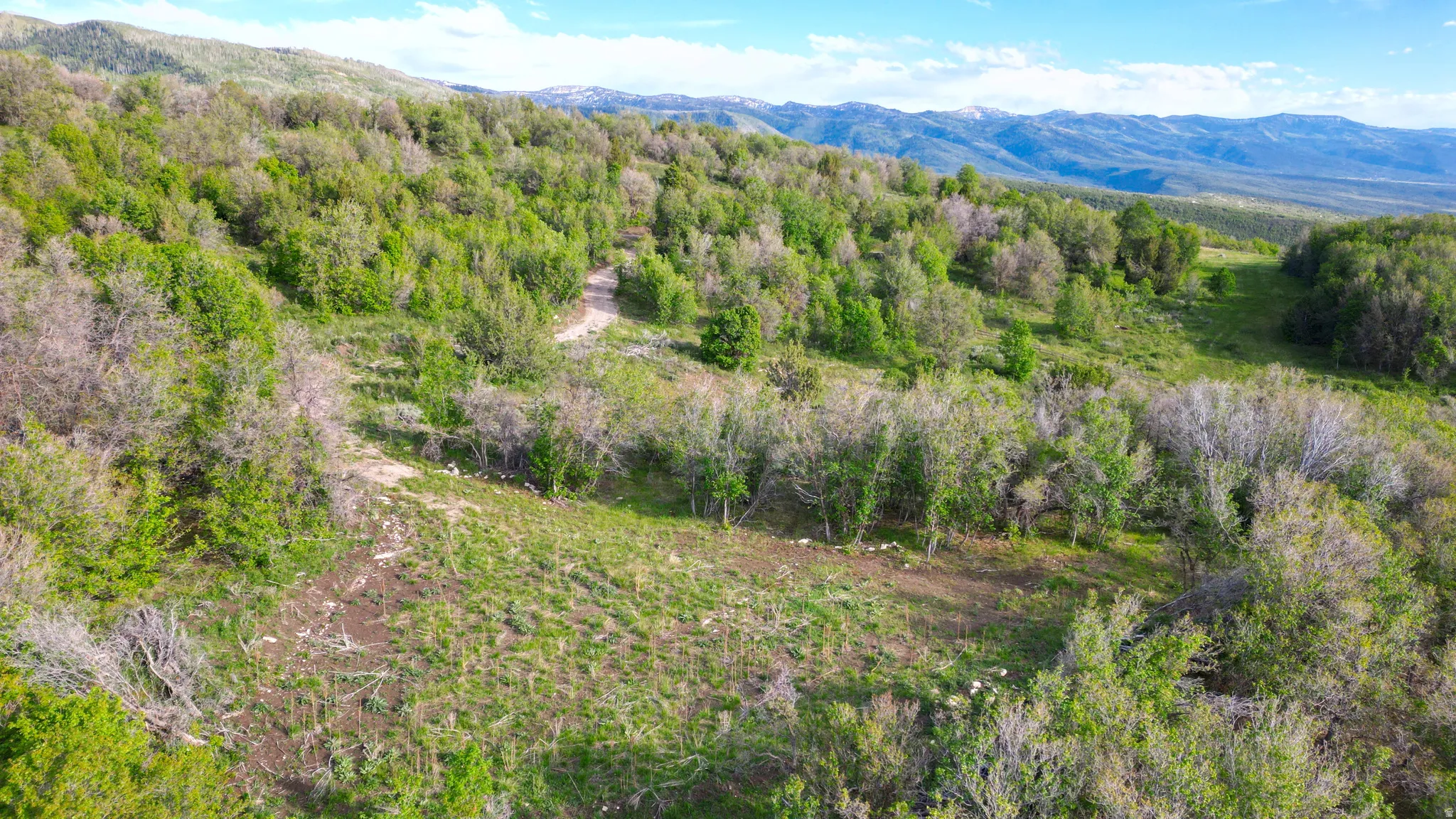 beautifully cleared area ready to build your cabin
