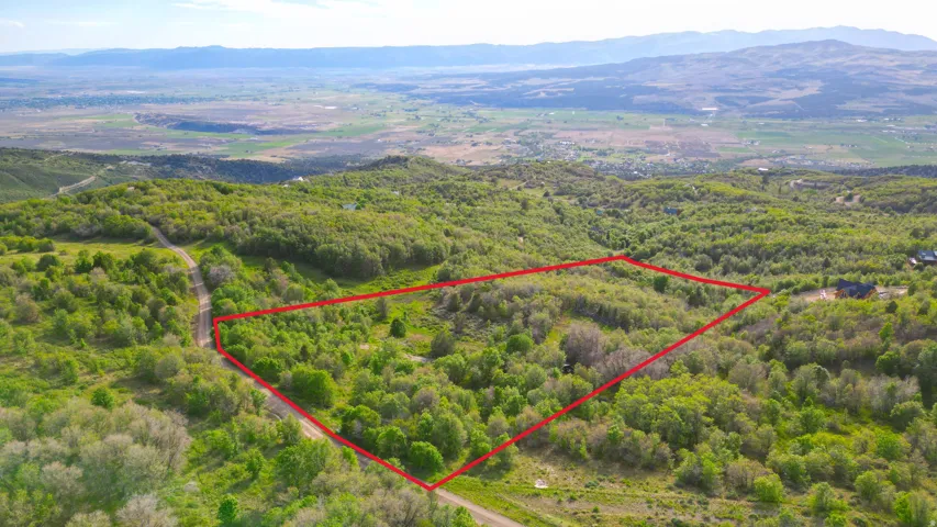 boundary lines are an estimate only