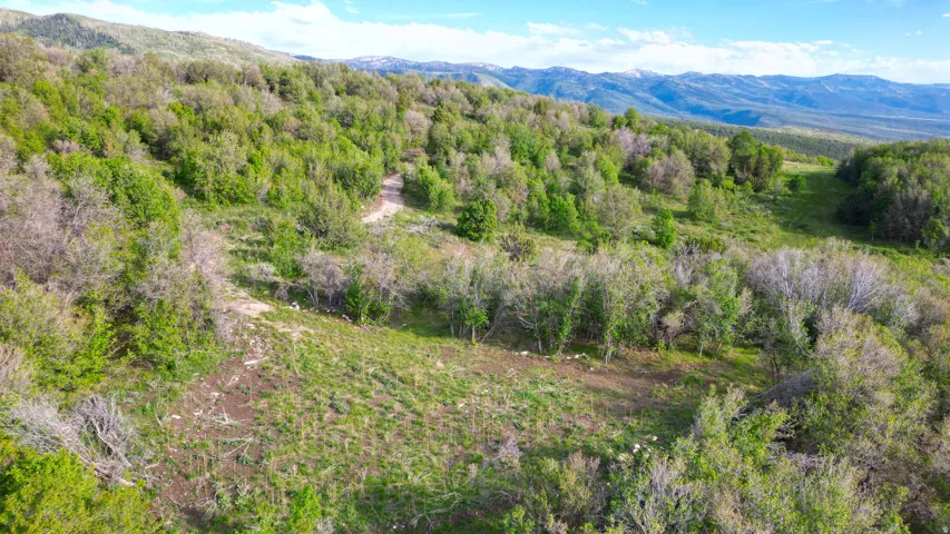 beautifully cleared area ready to build your cabin