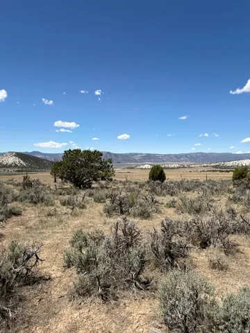 Expansive open land with distant mountains and scattered shrubbery