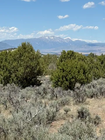 Natural landscape featuring varied shrubbery and evergreen trees, set against a distant mountain range with snow-capped peaks
