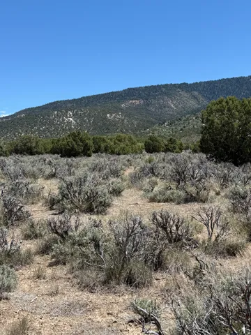 Expansive land featuring natural vegetation, distant mountains, and a clear sky