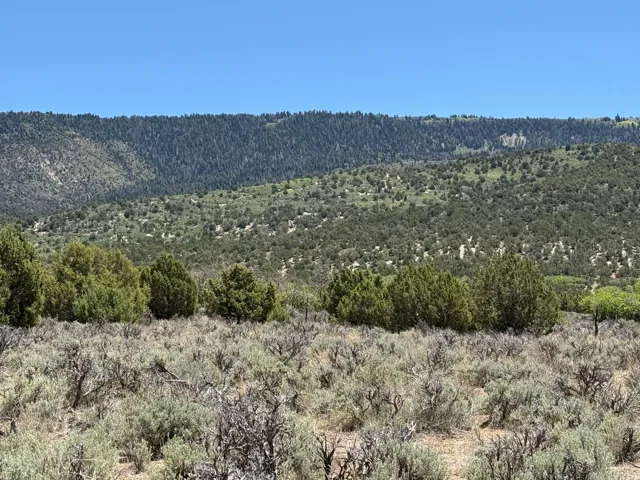 Expansive natural landscape featuring varied terrain and diverse vegetation