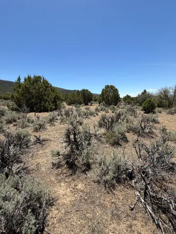 Expansive terrain featuring natural vegetation and distant hillsides