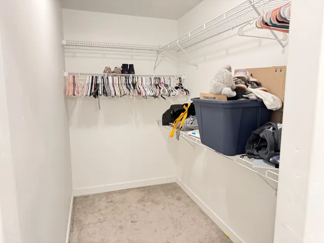 Walk-in closet featuring carpet flooring, crisp white walls, and extensive wire shelving