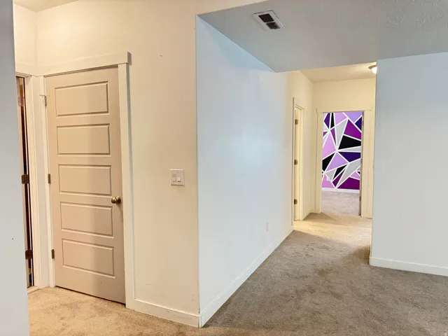 Interior hallway featuring light beige carpeting, white baseboards, and a modern five-panel door with brass hardware