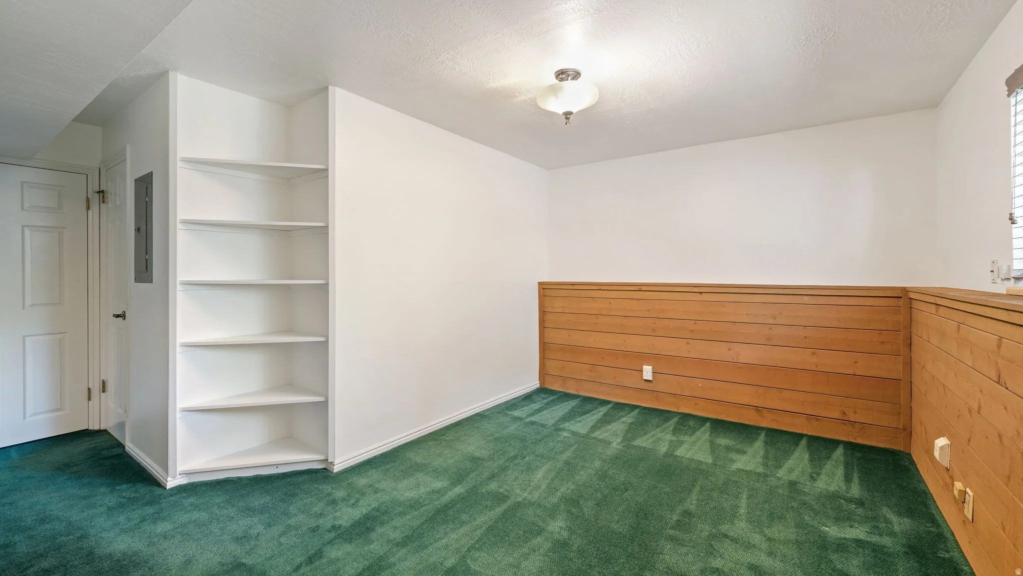Room featuring built-in shelving, wood paneling, and green carpeting