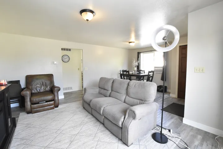 Living area featuring light gray wall paint, wood-finish flooring, and two ceiling-mounted dome light fixtures