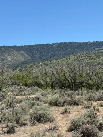 Expansive natural landscape featuring varied terrain, mature trees, and mountainous backdrops