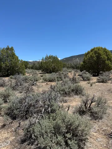 Expansive desert landscape featuring natural foliage, low-lying shrubs, and distant mountains
