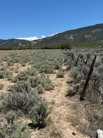 Expansive open terrain featuring natural vegetation and distant mountain ranges under a clear sky