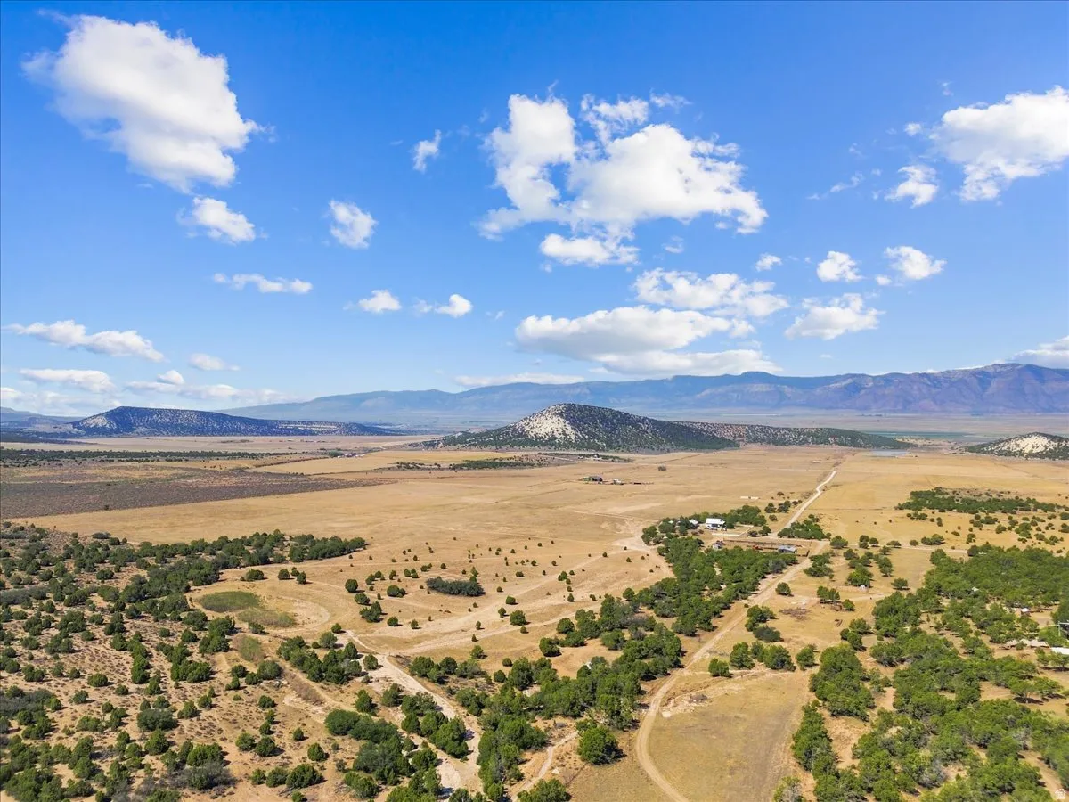 Expansive land with scattered trees, a visible dirt road, and distant mountain ranges under a blue sky