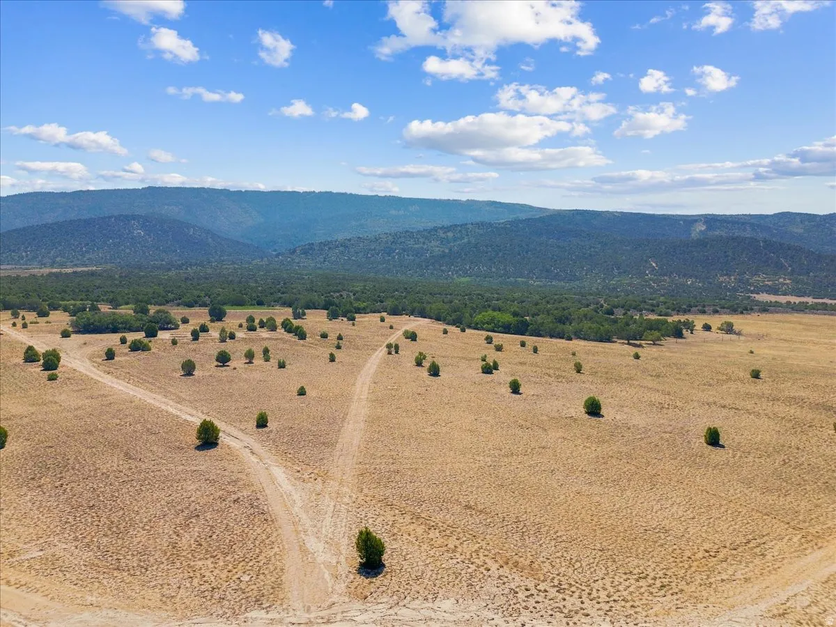 Expansive undeveloped land with natural vegetation, featuring rolling terrain and distant tree-covered mountains