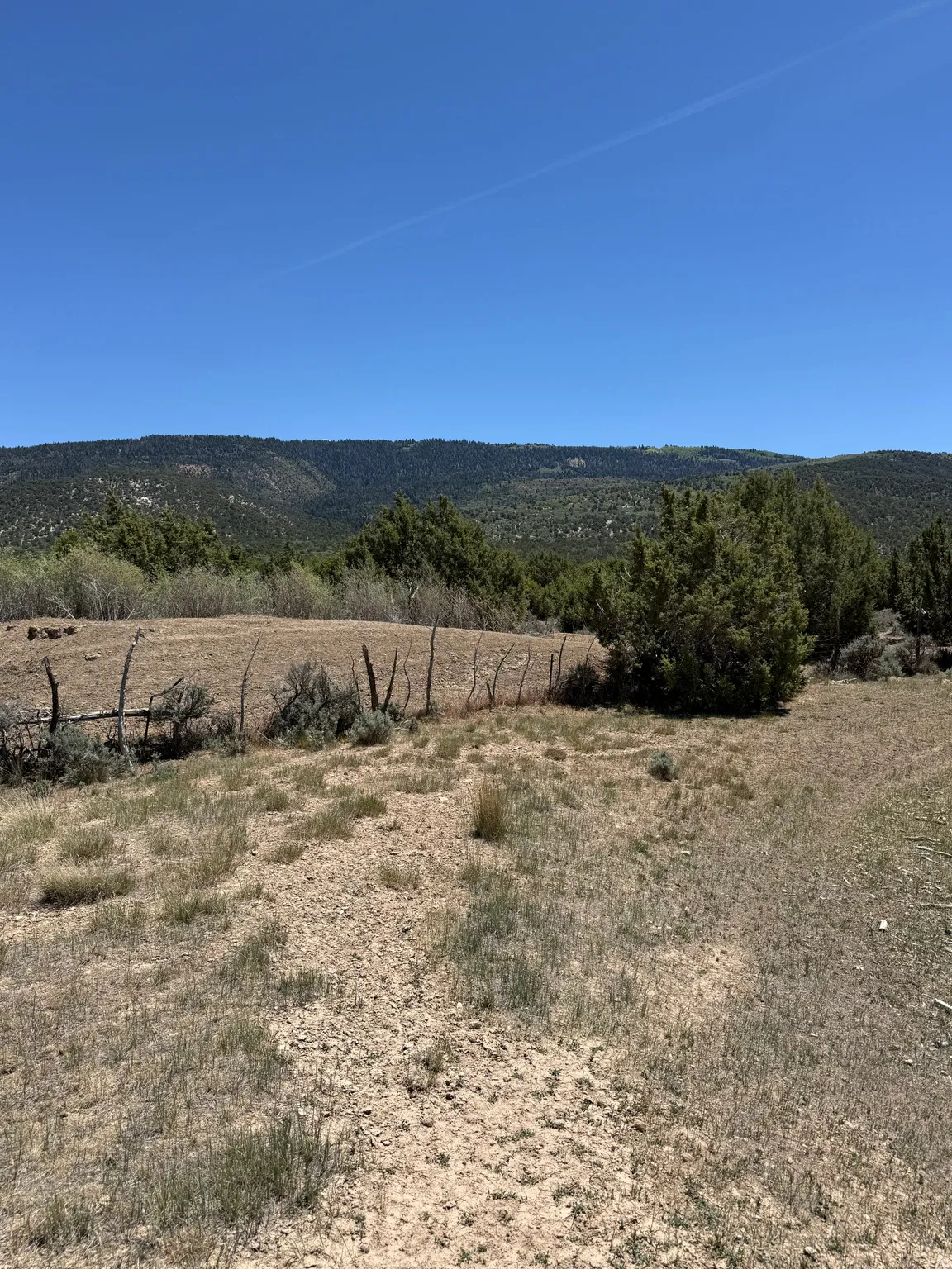 Expansive undeveloped land featuring natural vegetation and distant tree-covered mountains