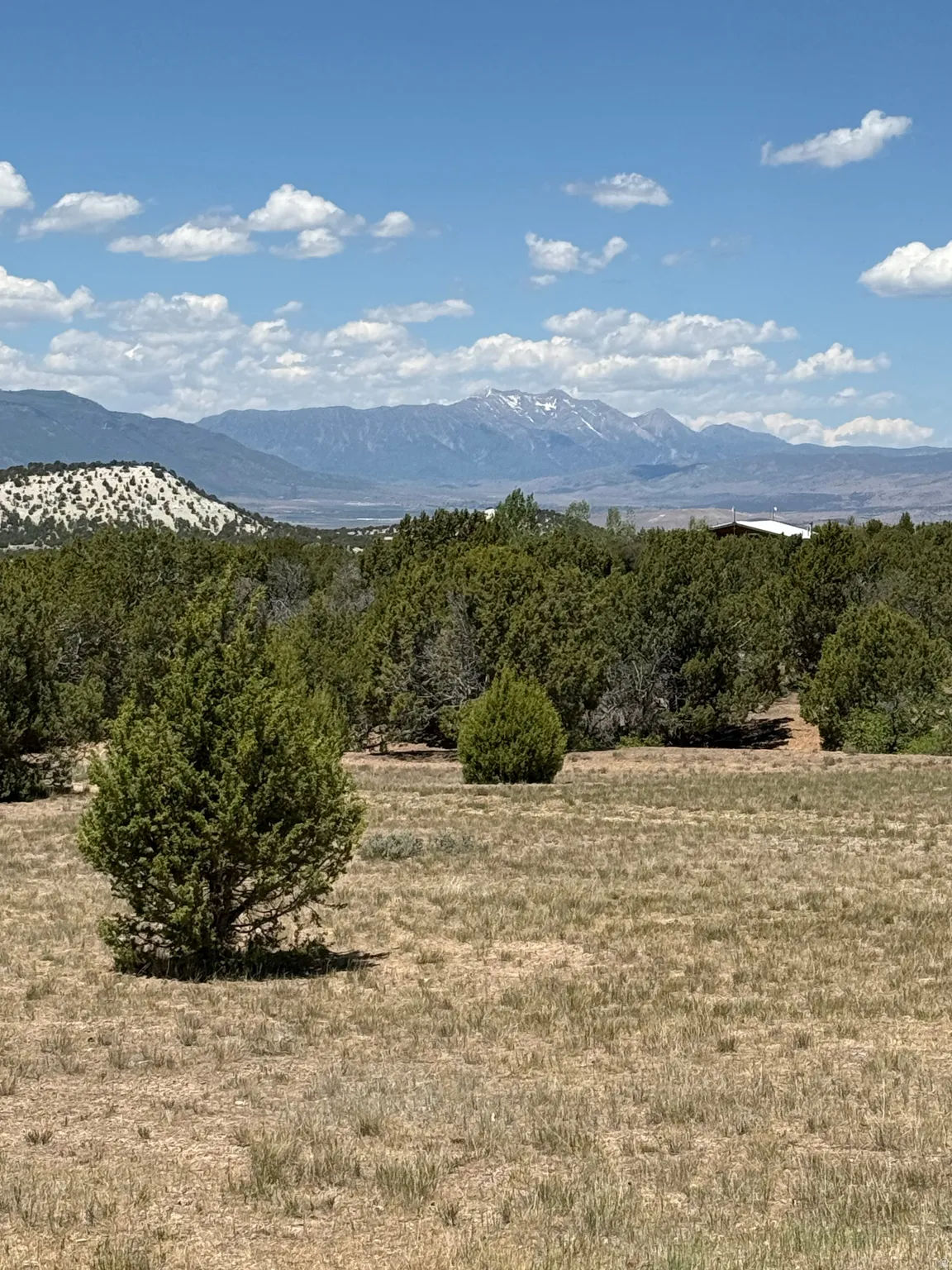 Expansive natural landscape with native shrubbery, dry grasses, and distant snow-capped mountains