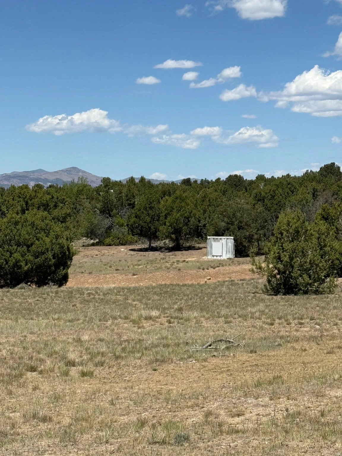 Expansive parcel featuring a distant mountain backdrop, mature evergreen trees, and a white utility structure