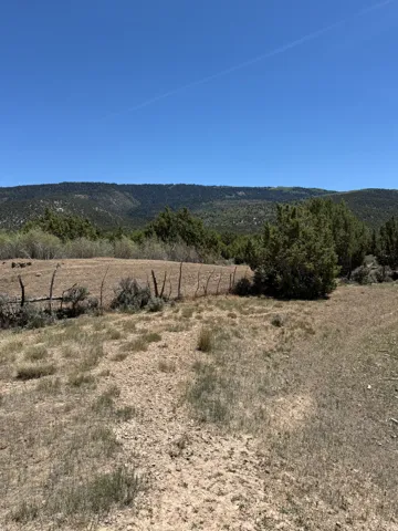 Expansive undeveloped land featuring natural vegetation and distant tree-covered mountains