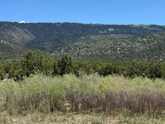 Expansive land parcel featuring natural shrubbery and distant, tree-covered mountains under a clear blue sky