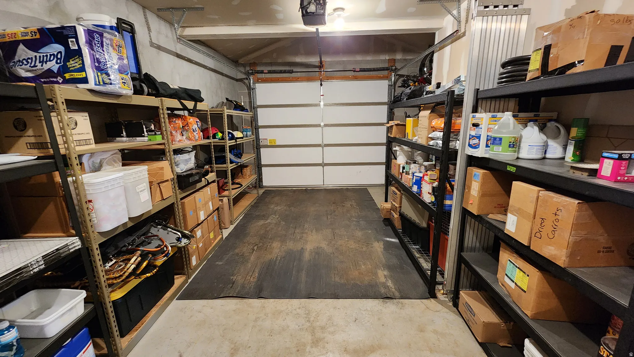 Concrete garage floor with a white sectional garage door and fluorescent lighting