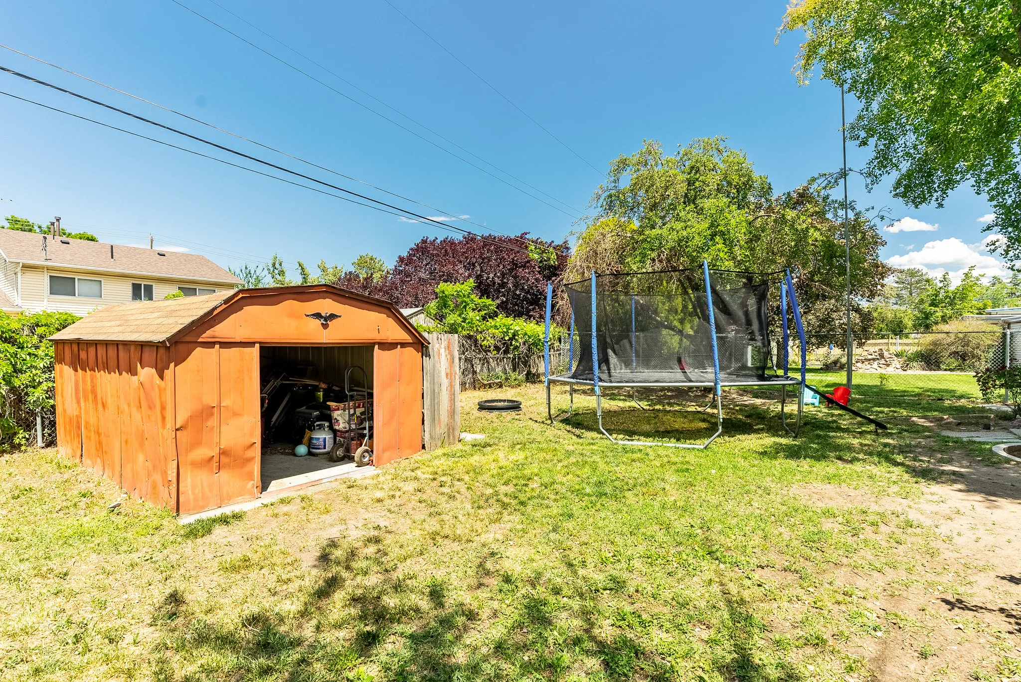 Expansive backyard featuring a storage shed with an open entrance, mature trees, and a mix of grass and dirt ground cover