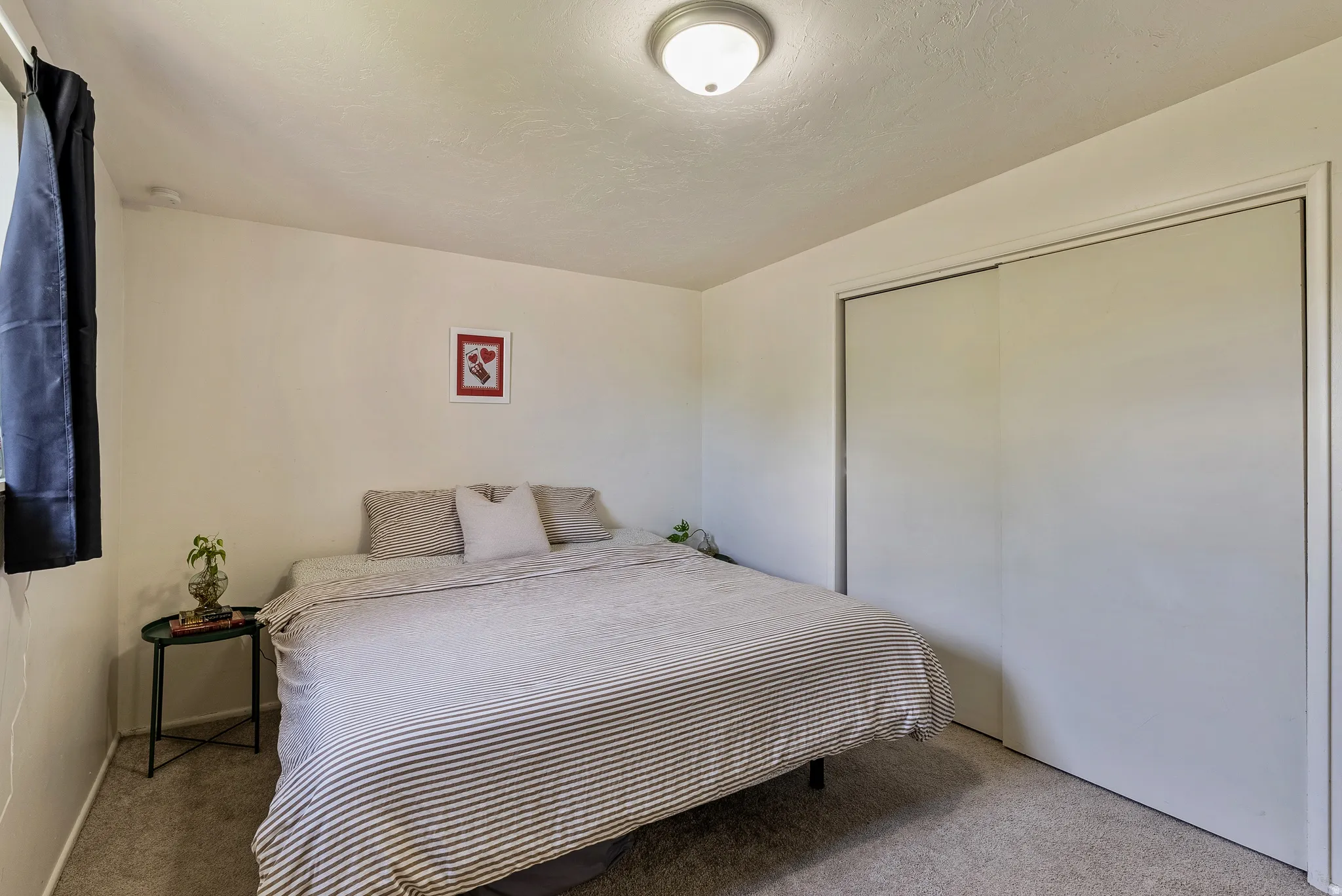 Neutral wall paint, carpet flooring, and a flush mount ceiling light