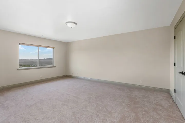 Spacious room featuring neutral carpet flooring, light-colored walls, a broad window with a distant landscape, a ceiling-mounted light fixture, and a paneled door with dark hardware