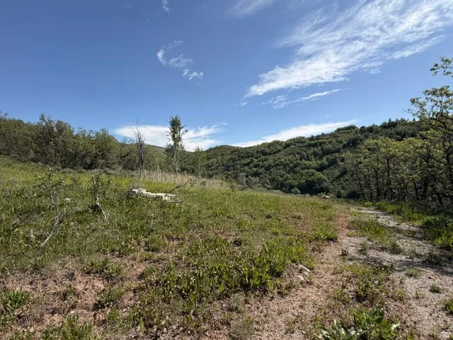 Expansive natural landscape with varied terrain