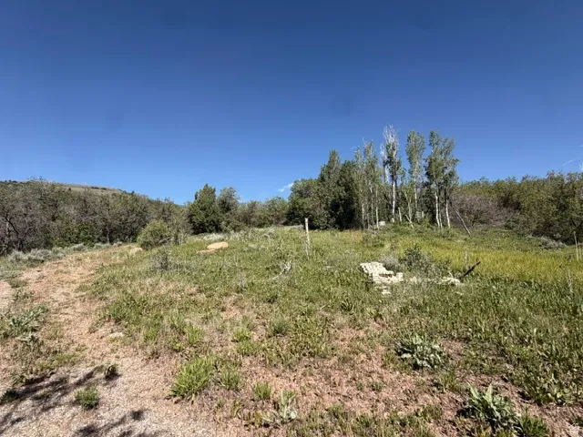 Expansive natural landscape featuring varied topography, mature deciduous trees, and scattered evergreen shrubs under a clear sky
