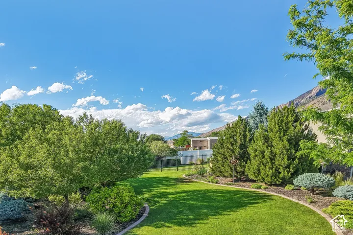Expansive backyard featuring a lush lawn, mature trees, and decorative shrubbery, fully fenced and full automatic sprinklers