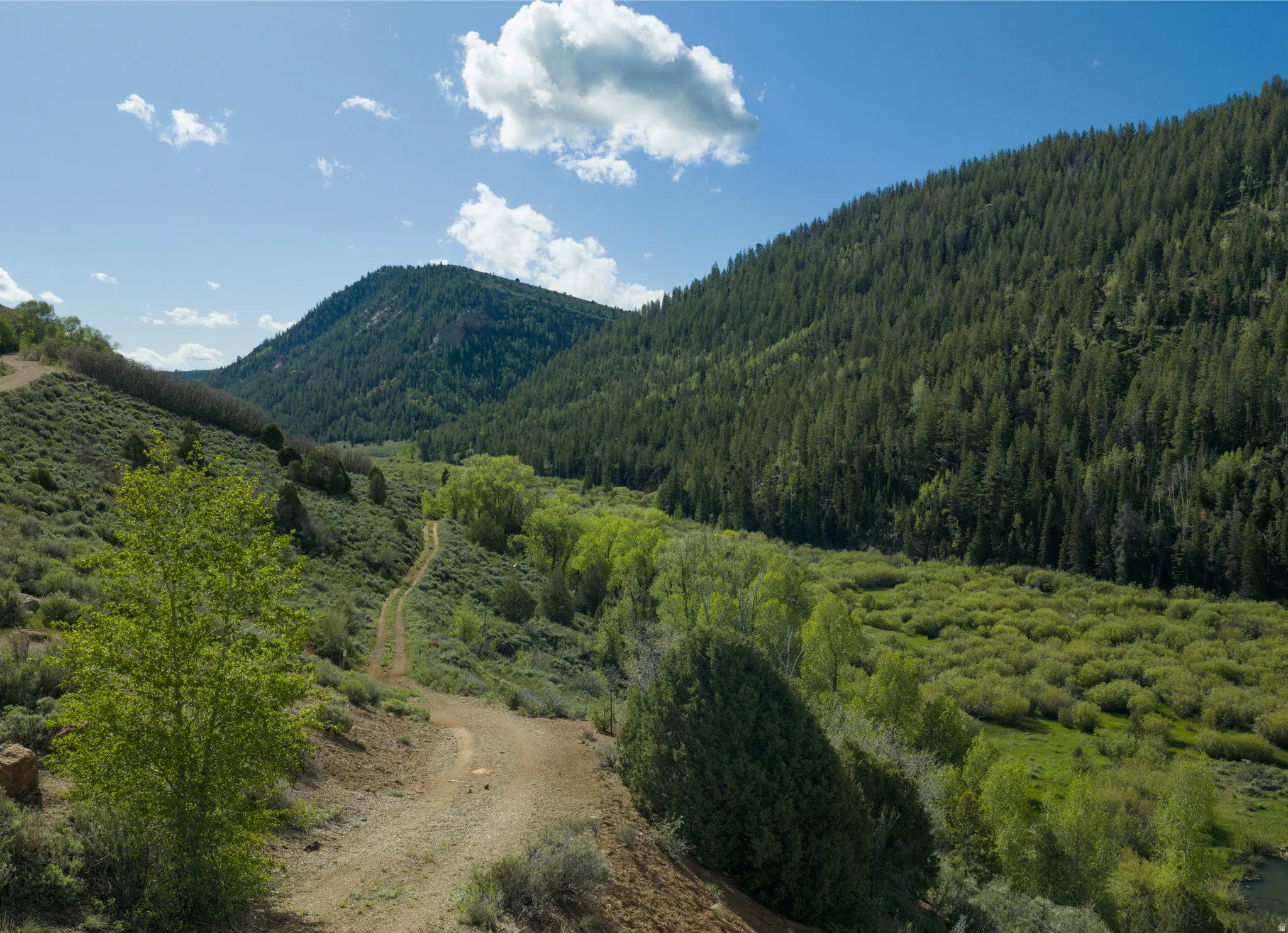 Expansive natural landscape featuring rolling hills and a winding dirt path