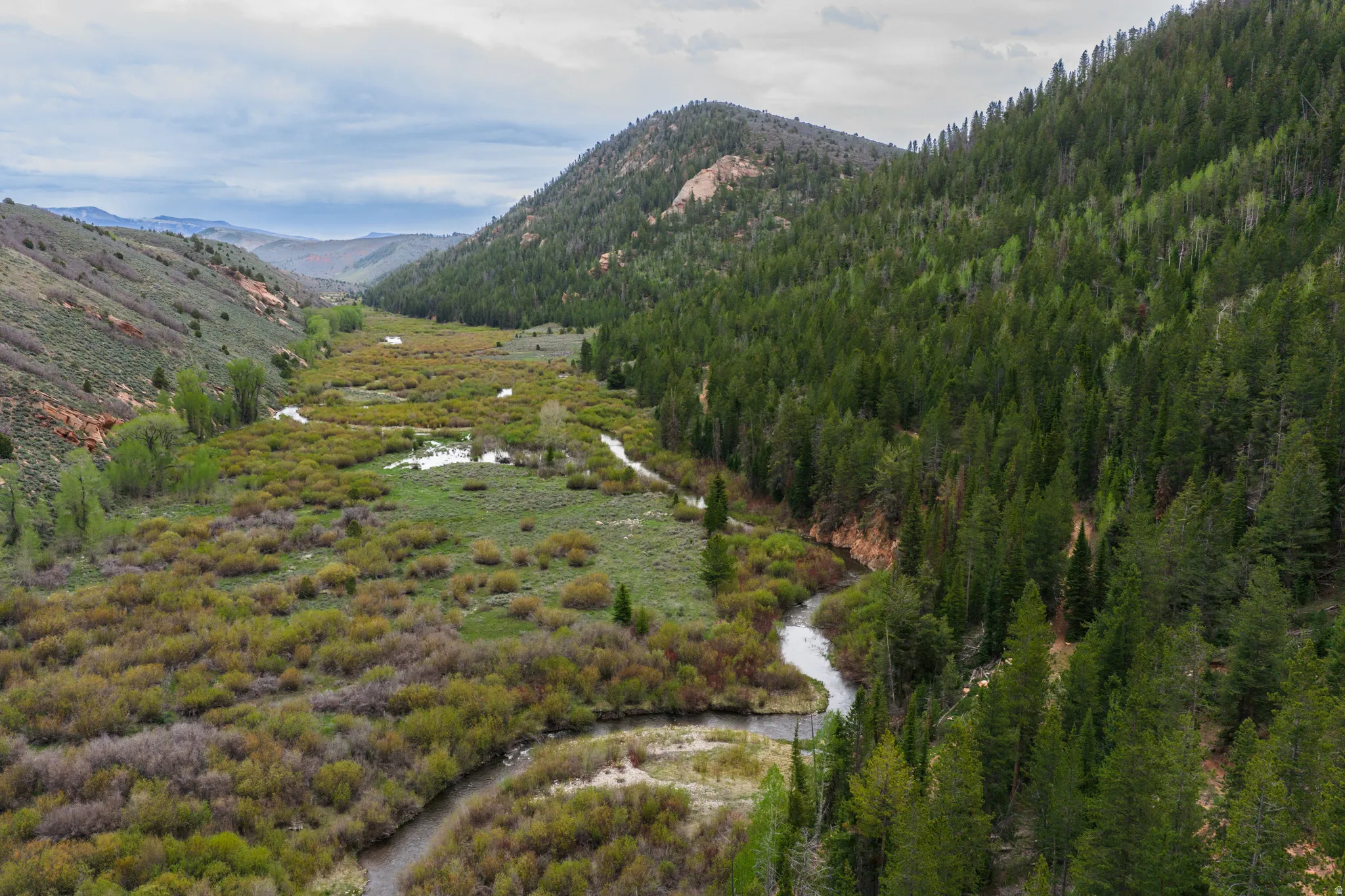 Expansive valley featuring a winding river, dense evergreen forests, and varied natural terrain