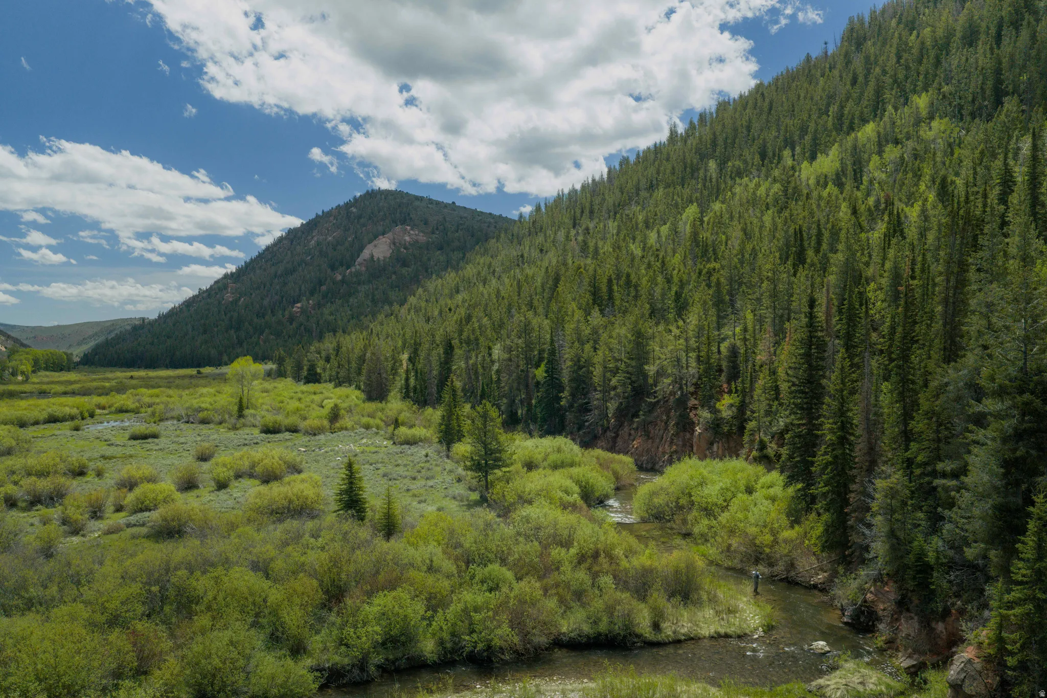 Mountainous landscape featuring extensive evergreen forests, a winding river, and verdant low-lying vegetation
