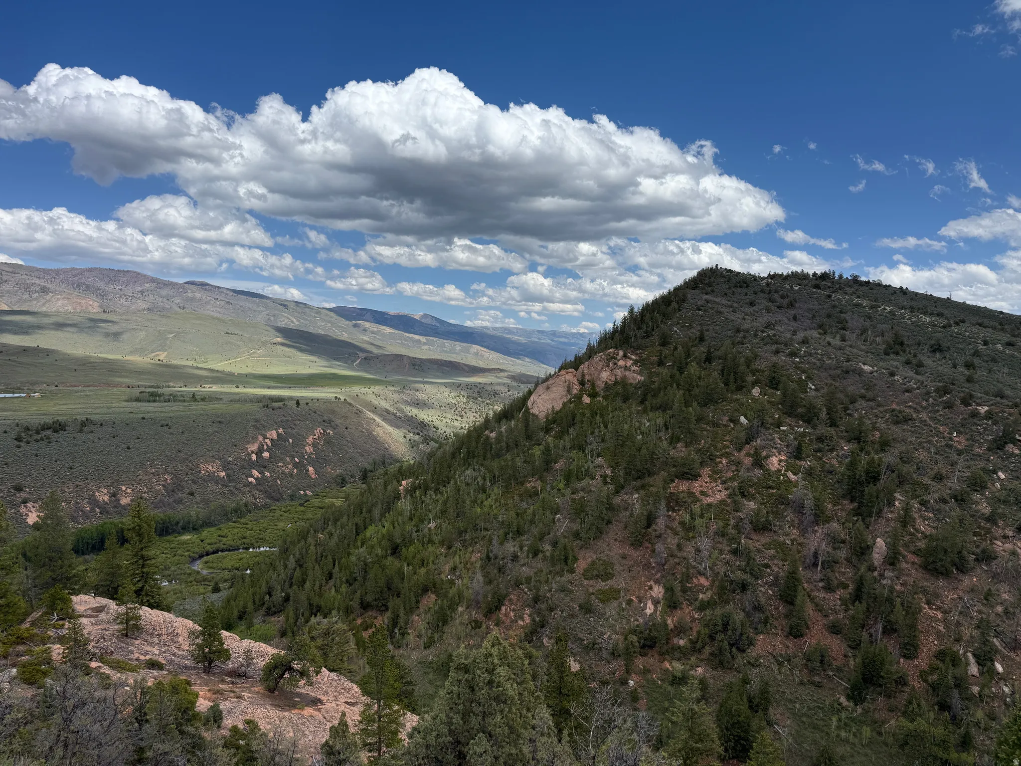 Expansive mountain landscape featuring varied terrain, lush evergreen trees, and a winding river in the valley