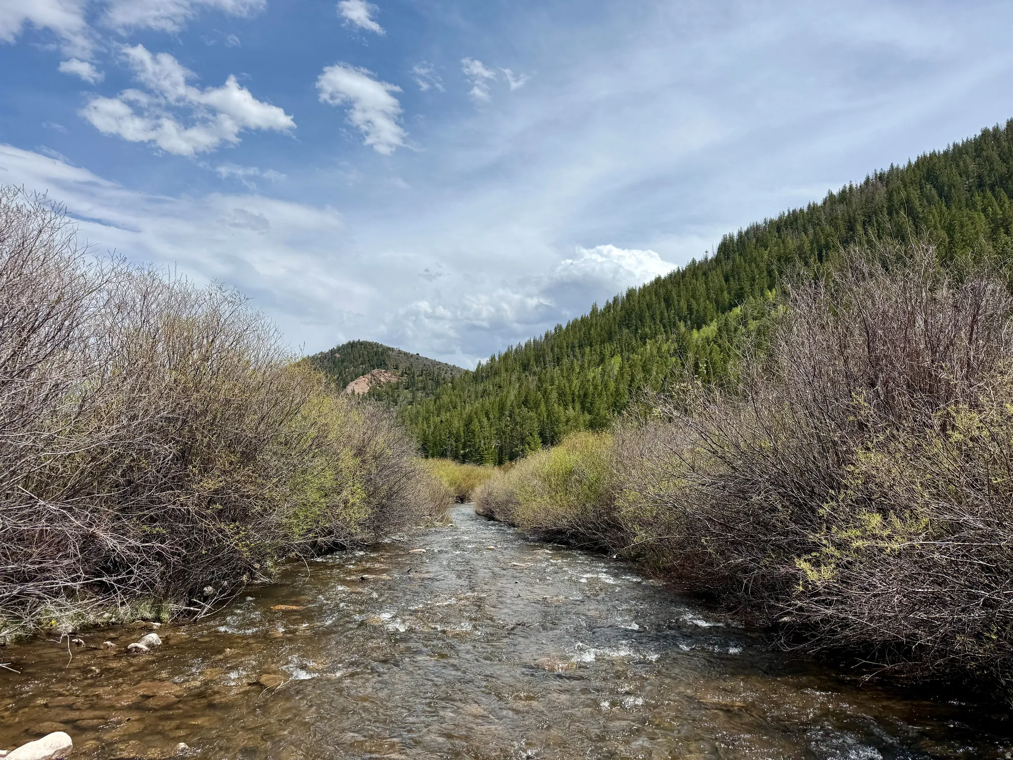 Natural riverbed featuring clear water, surrounding dense shrubbery, and distant evergreen-covered hillsides under a bright sky