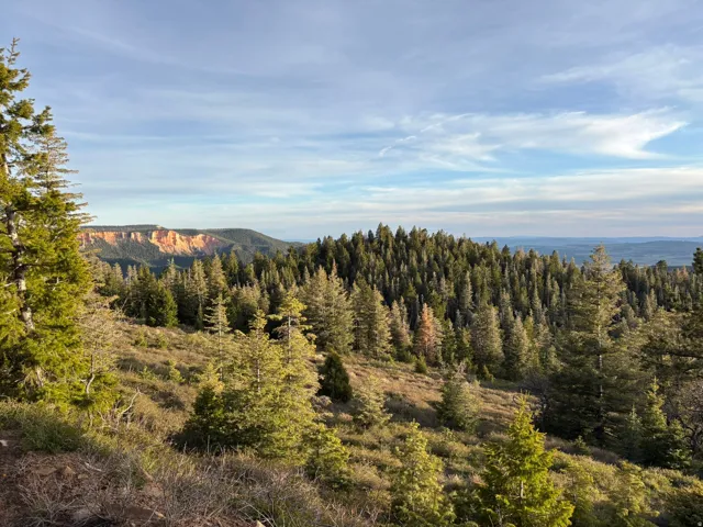 Expansive natural landscape featuring evergreen trees and distant geological formations under a blue sky with light cloud cover