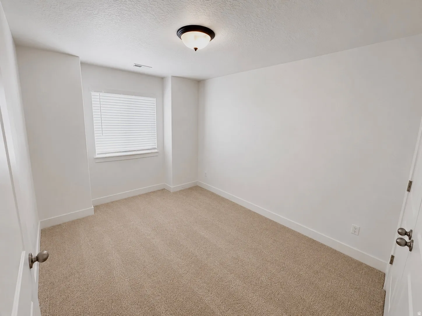 Neutral wall color with plush carpet flooring, showcasing a window with blinds, baseboard trim, and a ceiling-mounted light fixture