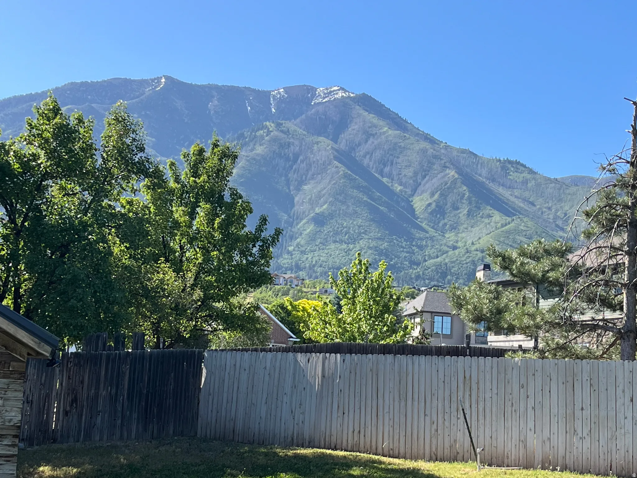 View from back yard!